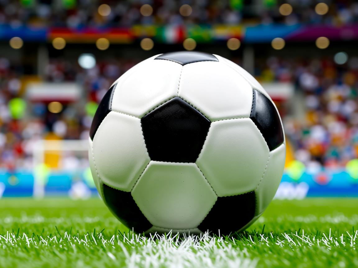 od体育官网入口-全国青少年网球冬训营开营百名学员参与，2021青少年网球比赛报名  第3张